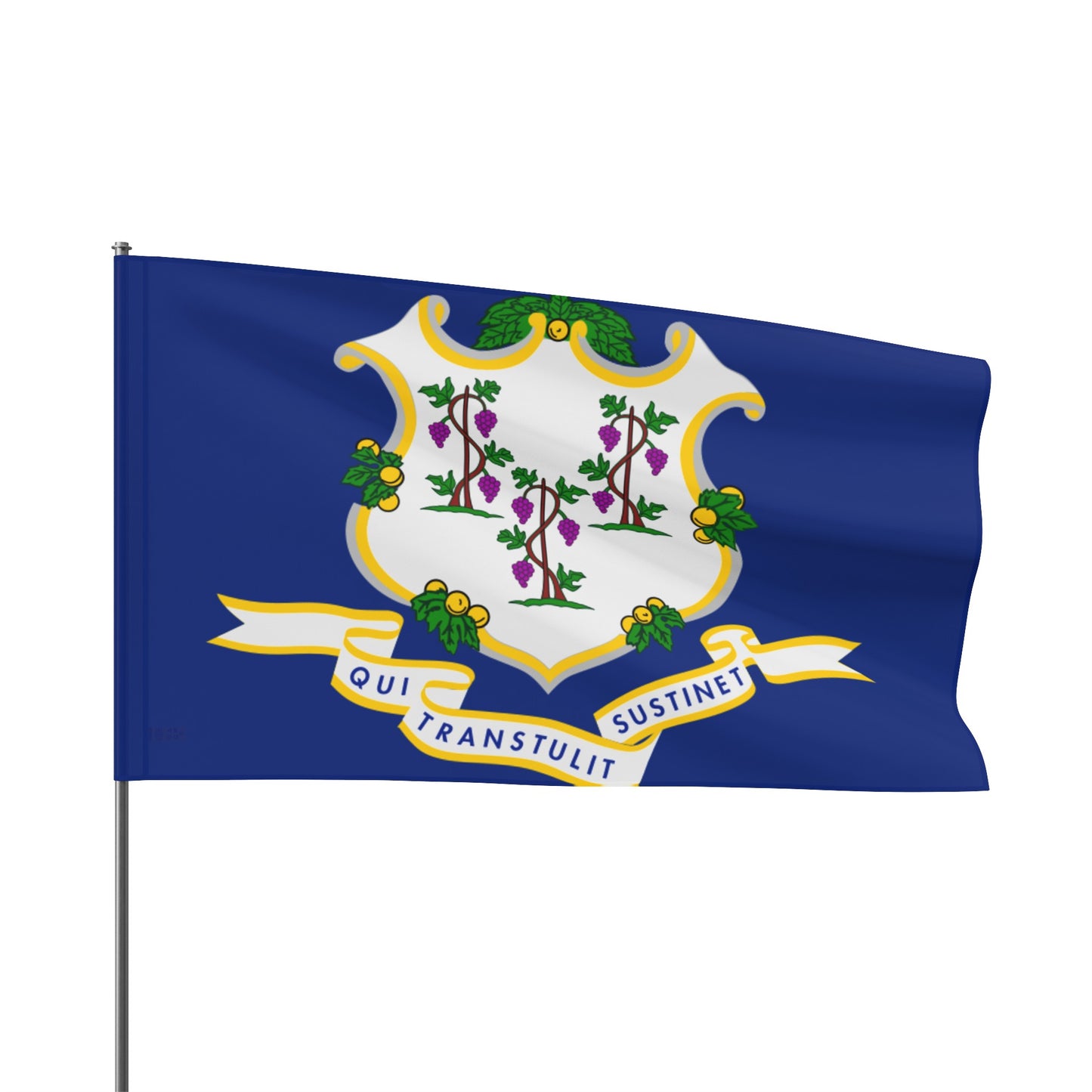 Flag Village USA Connecticut State Flag 18" x 12" / 36" x 24" / 60" x 36"