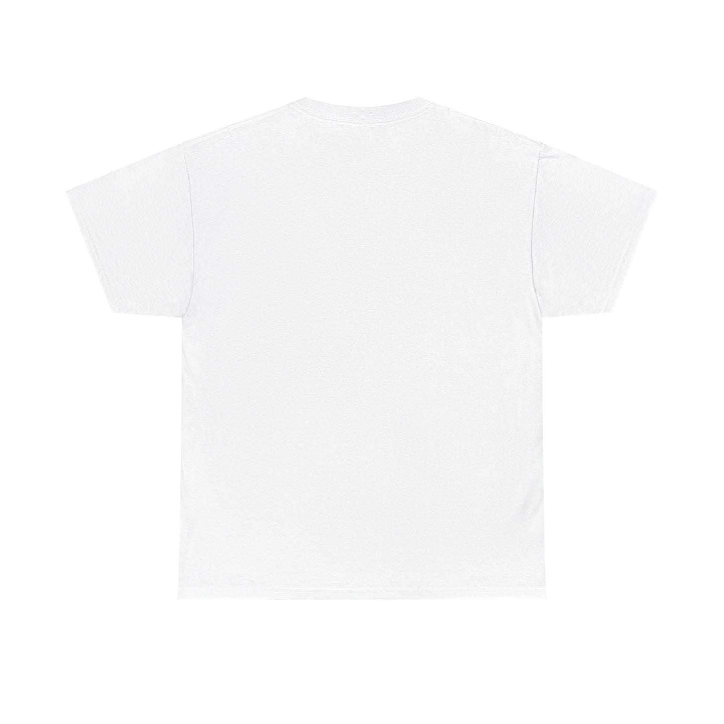 Flag Village Ecuador Sporting Flag T-SHIRT Heavy Cotton Tee ECU0008