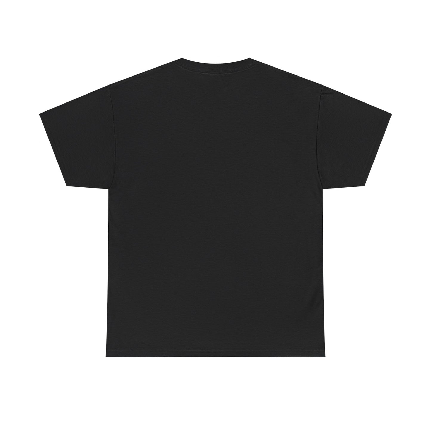 Flag Village Ecuador Sporting Flag T-SHIRT Heavy Cotton Tee ECU0008