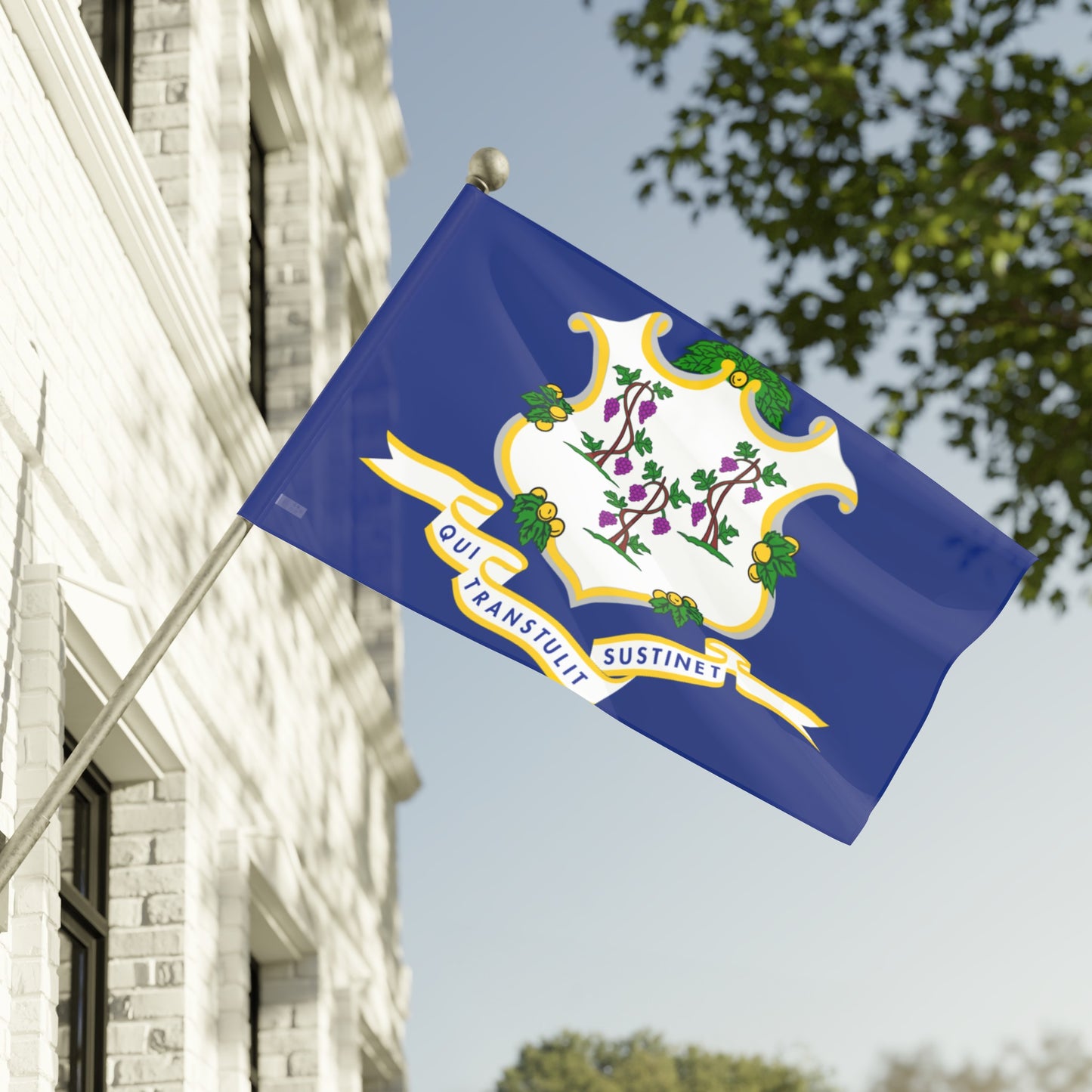 Flag Village USA Connecticut State Flag 18" x 12" / 36" x 24" / 60" x 36"