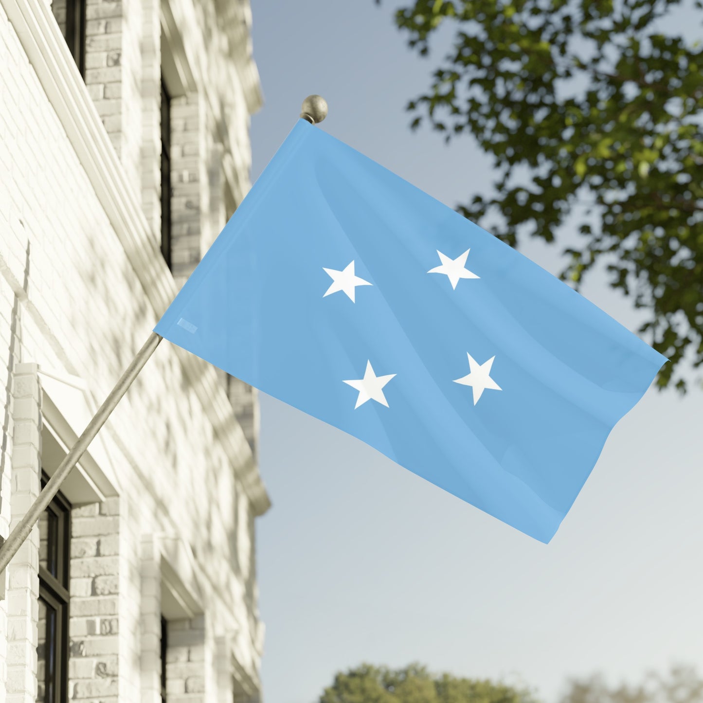 Flag Village Micronesia Flag 18" x 12" / 36" x 24" / 60" x 36"