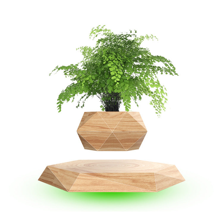 Flag Village Magnetic Floating Bonsai Floating Plant Rack, Fashion Creative Gifts, Christmas Or Birthday Gifts