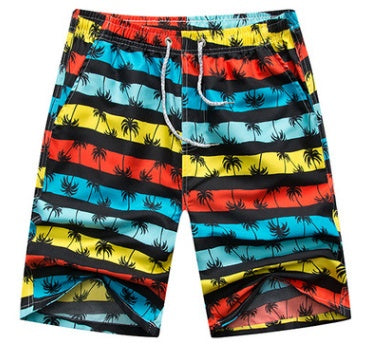Flag Village Quick Dry Printing Beach Shorts