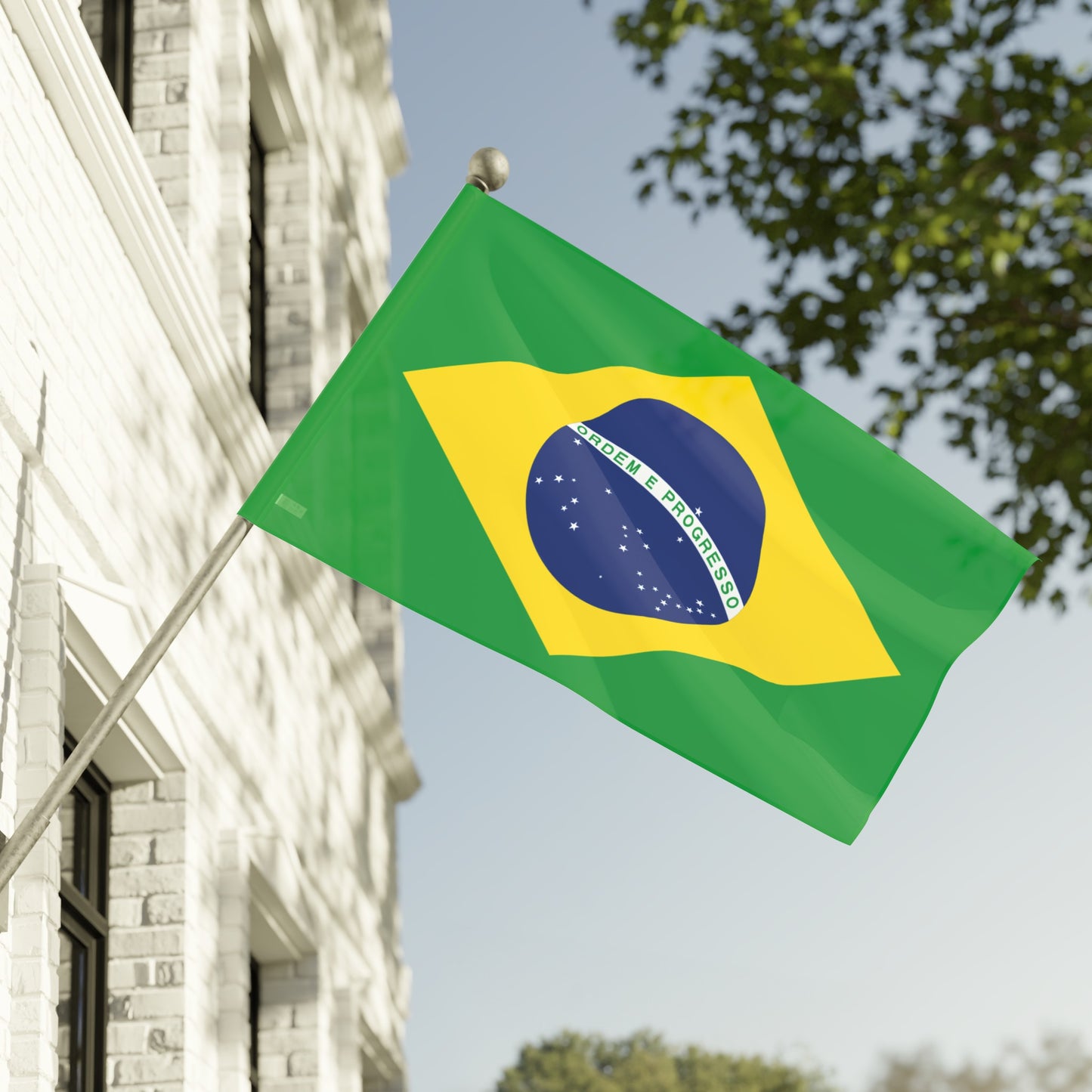 Flag Village South America Brazil Flag