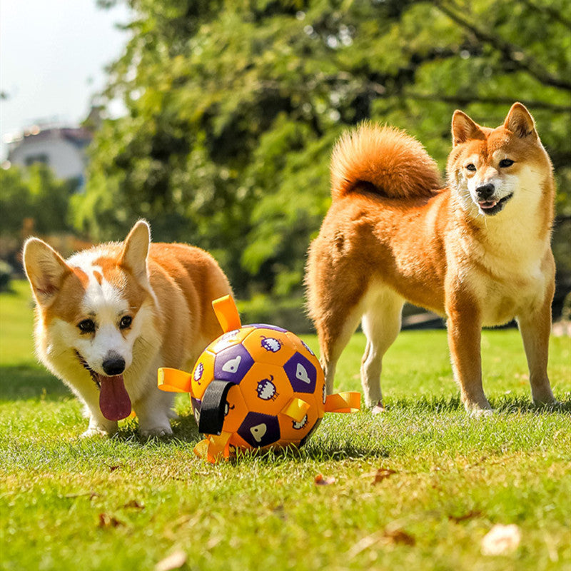 Flag Village Pet Interactive Football Dog Outdoor Toy Molar Long Lasting