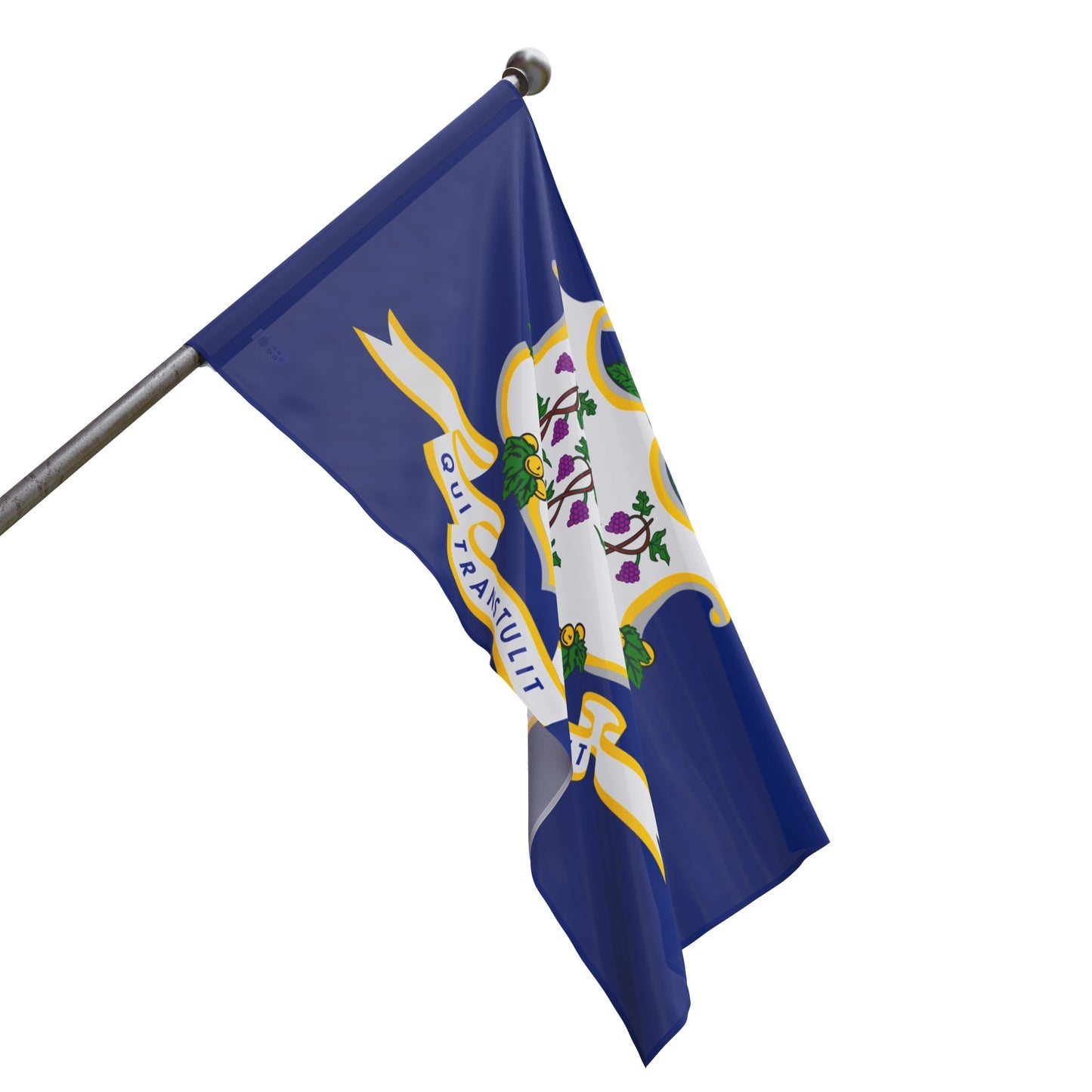 Flag Village USA Connecticut State Flag
