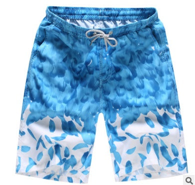 Flag Village Quick Dry Printing Beach Shorts