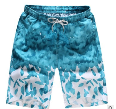 Flag Village Quick Dry Printing Beach Shorts