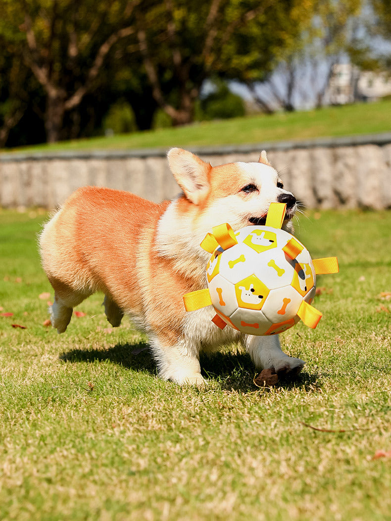 Flag Village Pet Interactive Football Dog Outdoor Toy Molar Long Lasting