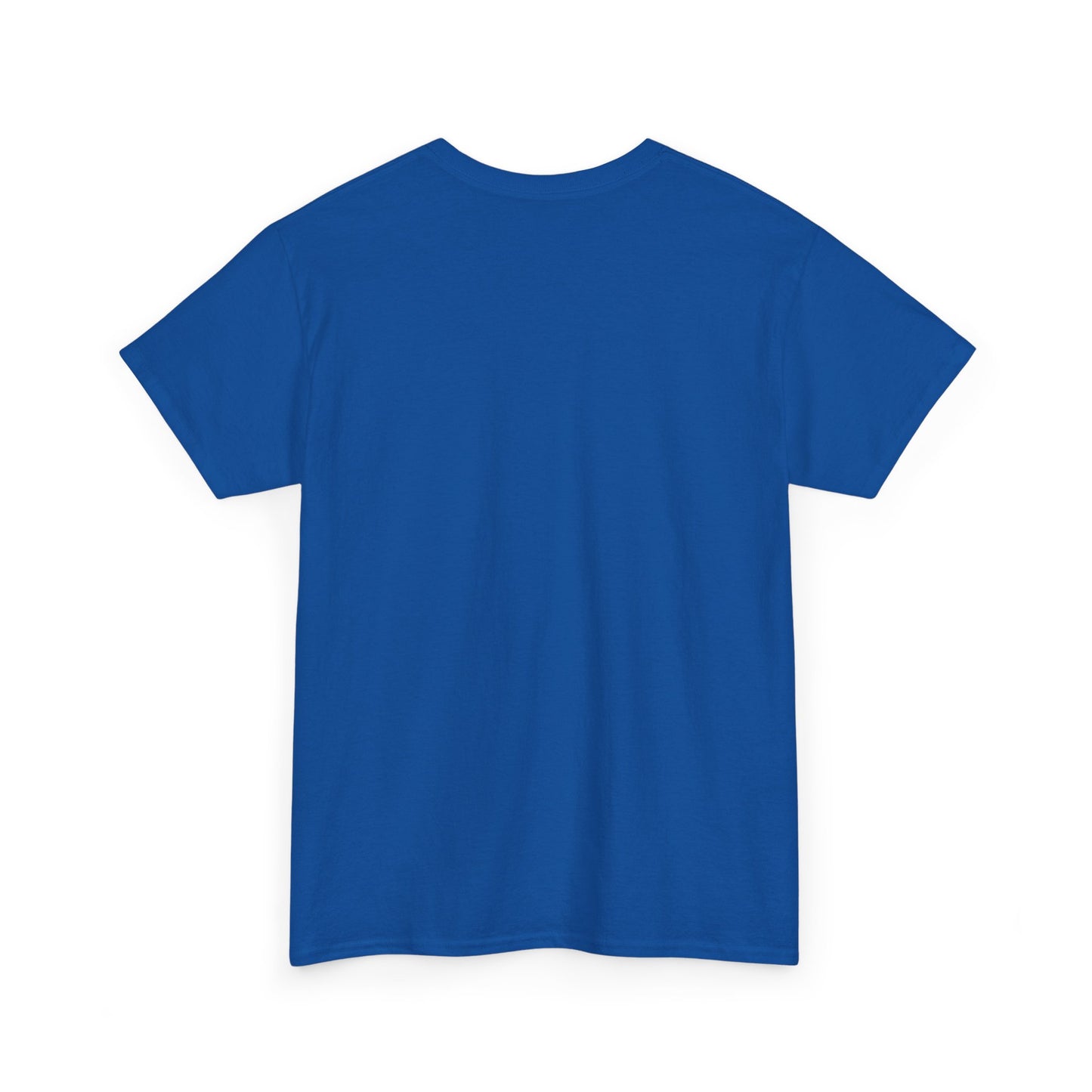Flag Village Ecuador Sporting Flag T-SHIRT Heavy Cotton Tee ECU0008