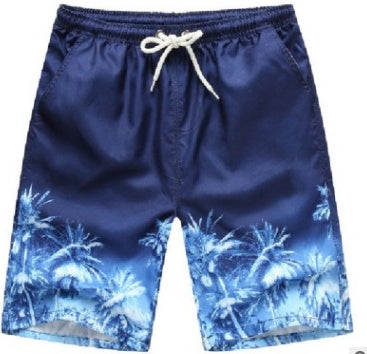 Flag Village Quick Dry Printing Beach Shorts