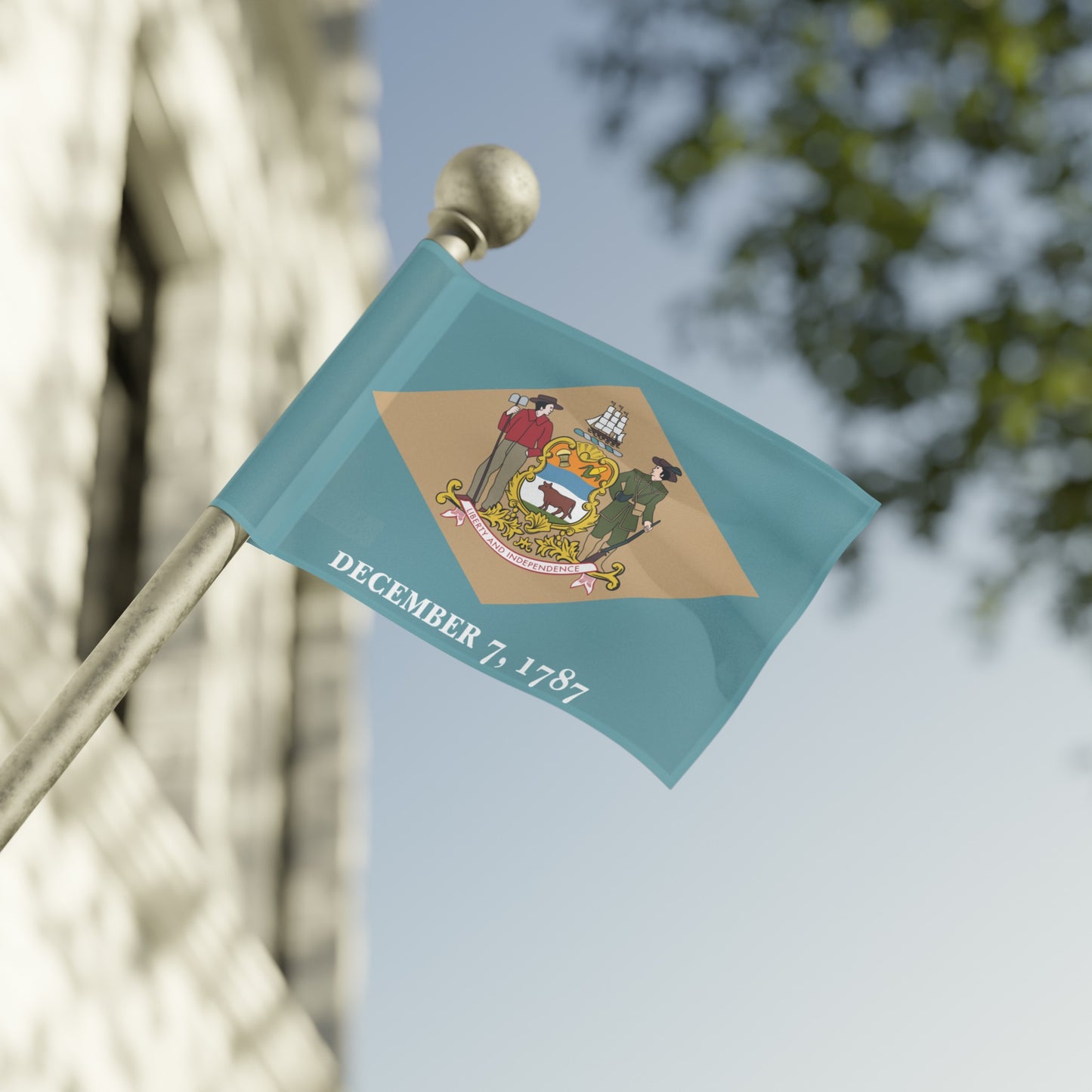 Flag Village USA Delaware State Flag