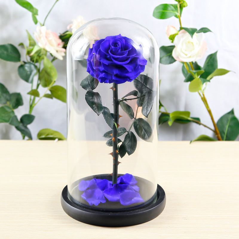 Flag Village Preserved Flower Rose Finished Glass Cover Gift Box