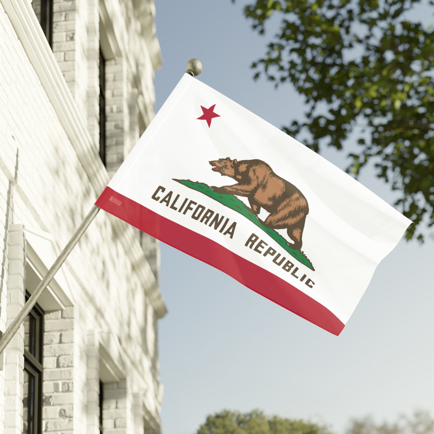 Flag Village USA California State Flag
