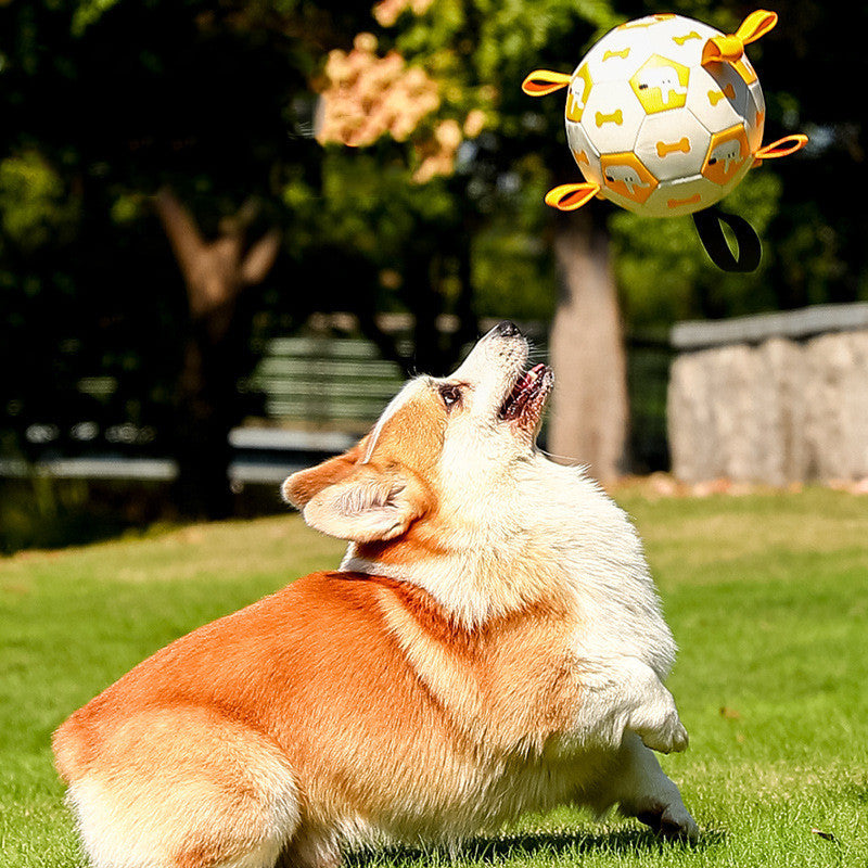 Flag Village Pet Interactive Football Dog Outdoor Toy Molar Long Lasting