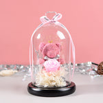 Flag Village Florist Gift Box Flowers Eternal Flower Glass Cover Bear Rose