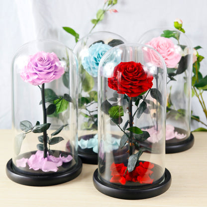 Flag Village Preserved Flower Rose Finished Glass Cover Gift Box