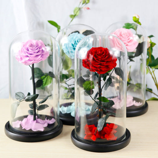 Flag Village Preserved Flower Rose Finished Glass Cover Gift Box