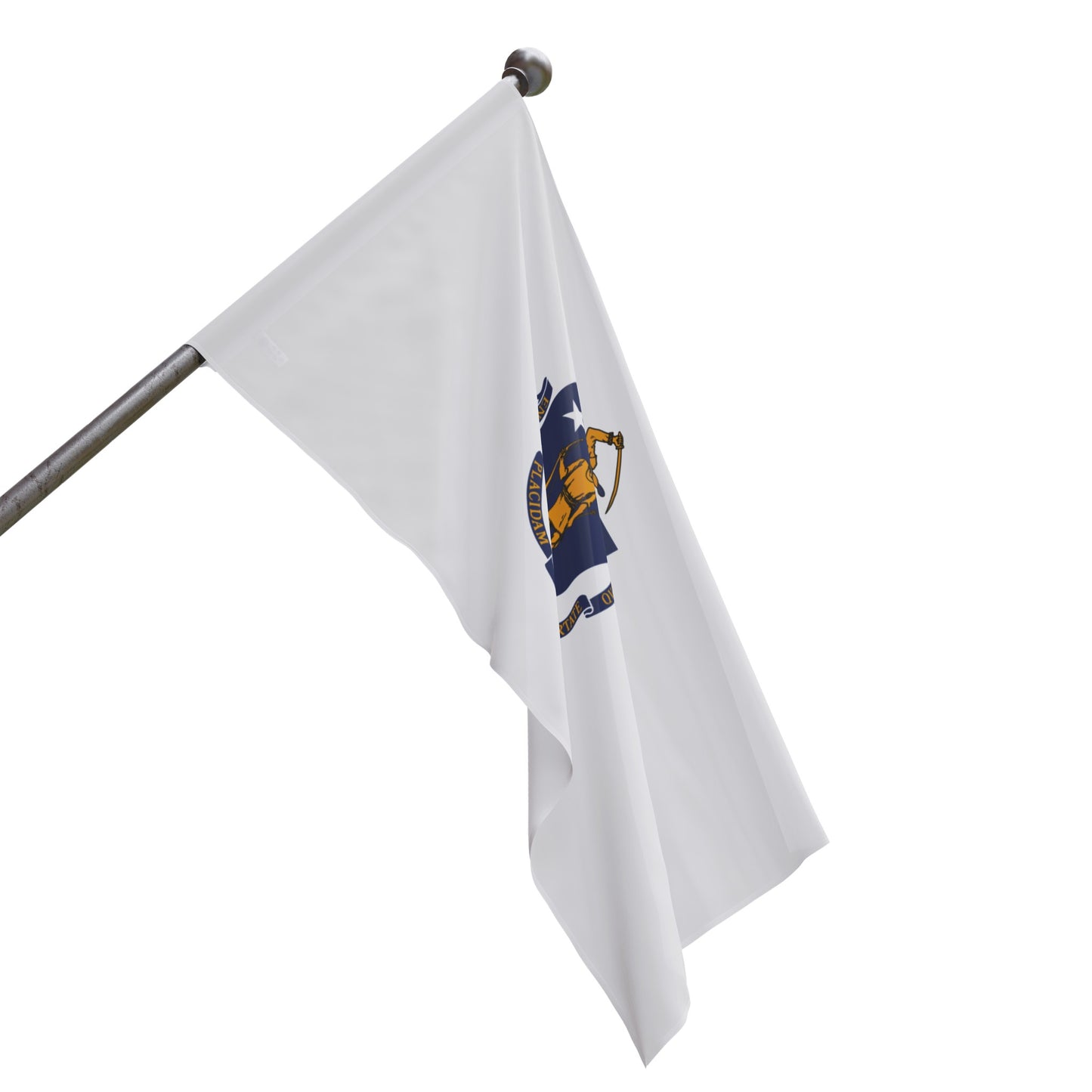 Flag Village USA Massachusetts State Flag 18" x 12" / 36" x 24" / 60" x 36"