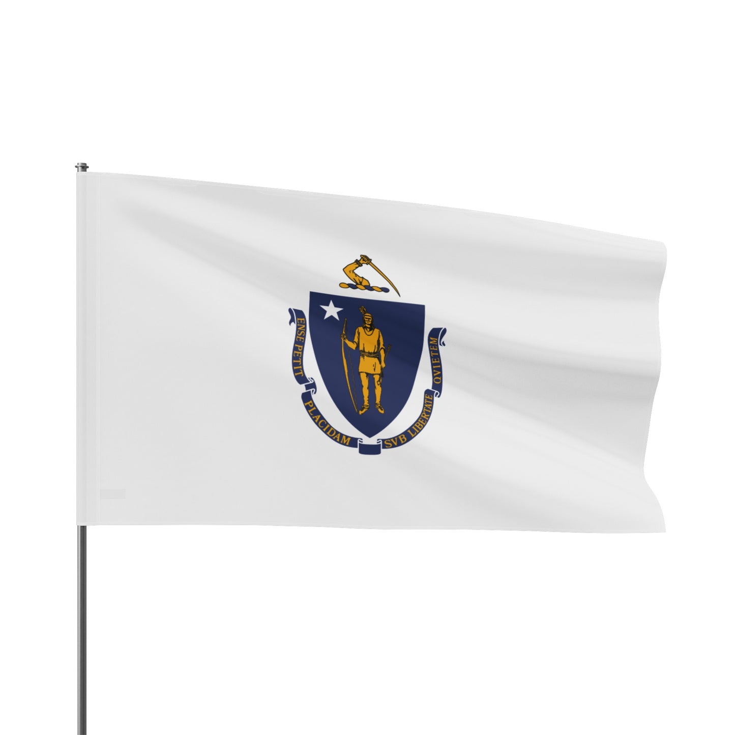 Flag Village USA Massachusetts State Flag 18" x 12" / 36" x 24" / 60" x 36"