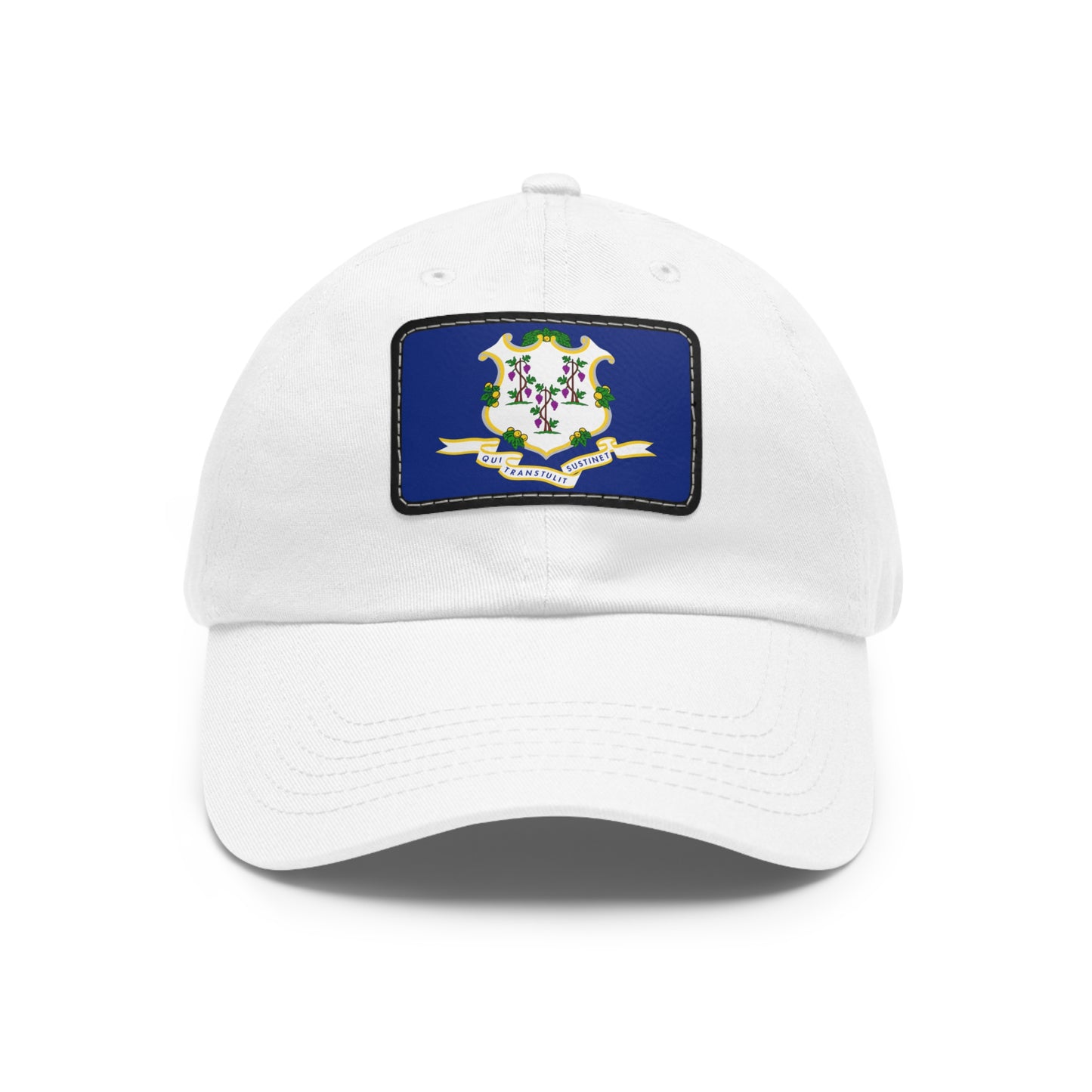Flag Village USA Connecticut State Flag Hat Cap with Leather Patch