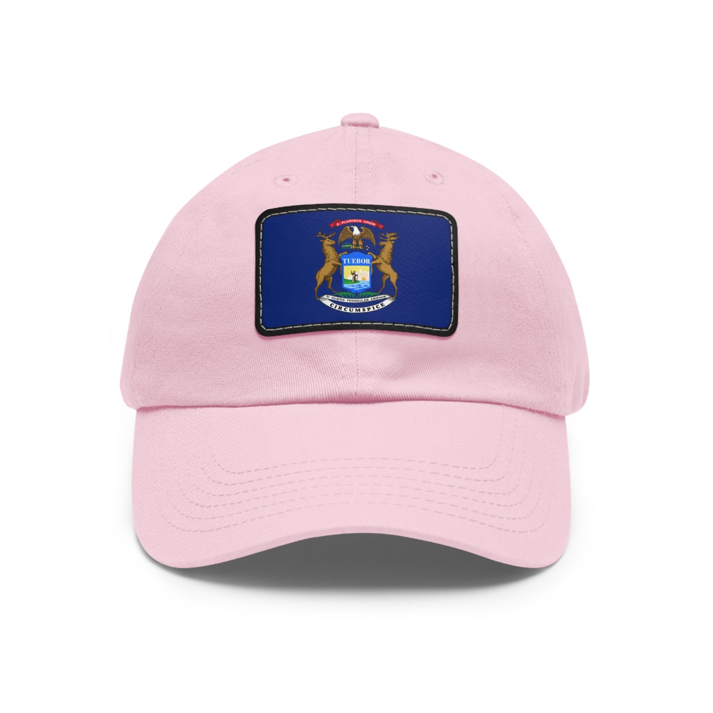 Flag Village USA Michigan State Flag Hat Cap with Leather Patch