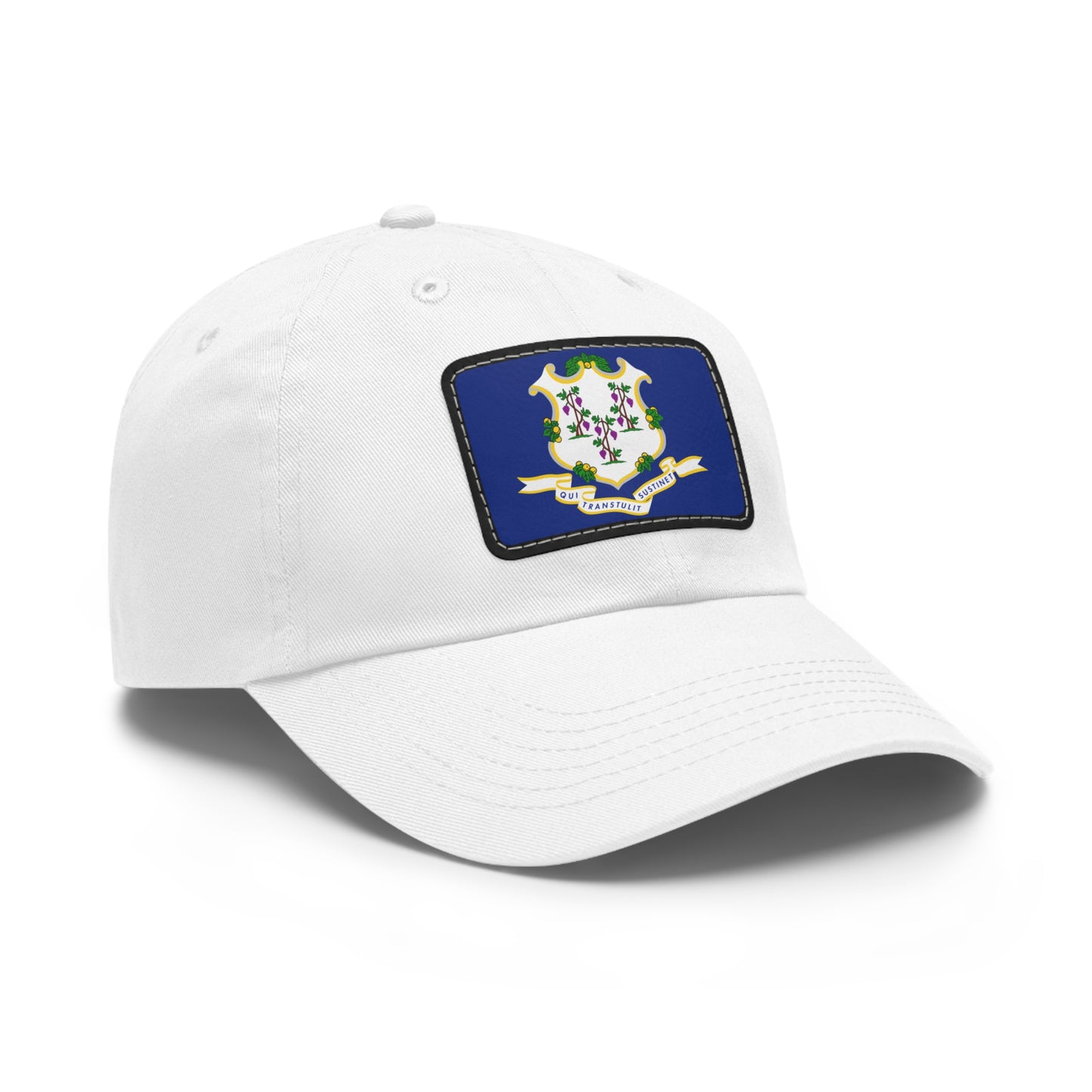 Flag Village USA Connecticut State Flag Hat Cap with Leather Patch