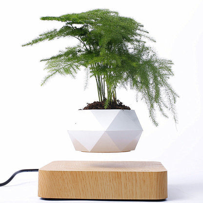 Flag Village Magnetic Floating Bonsai Floating Plant Rack, Fashion Creative Gifts, Christmas Or Birthday Gifts