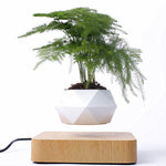 Flag Village Magnetic Floating Bonsai Floating Plant Rack, Fashion Creative Gifts, Christmas Or Birthday Gifts