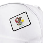 Flag Village Illinois State Flag Embroidery Iron-On Patches