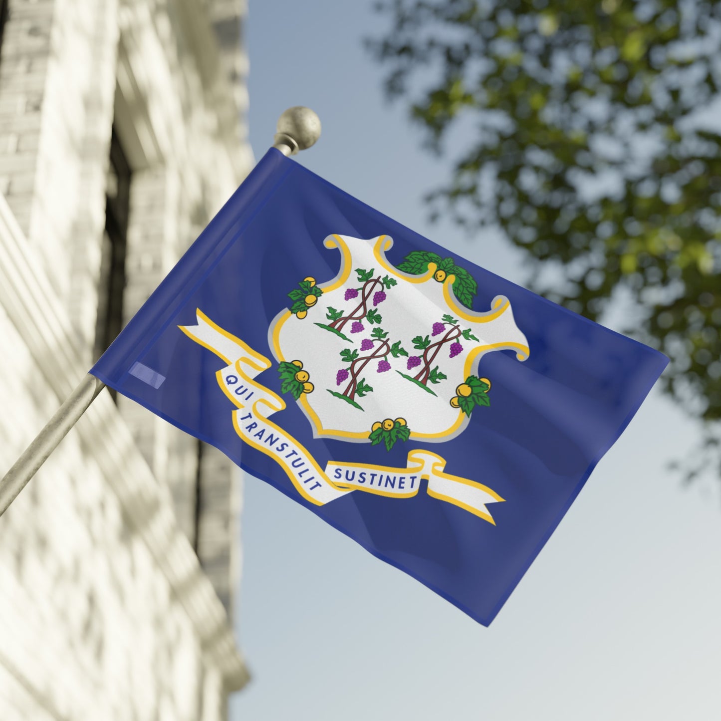 Flag Village USA Connecticut State Flag 18" x 12" / 36" x 24" / 60" x 36"