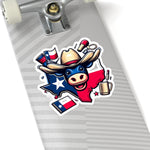 Flag Village USA TEXAS State Flag Sticker 2", 3", 4", 6" TX03