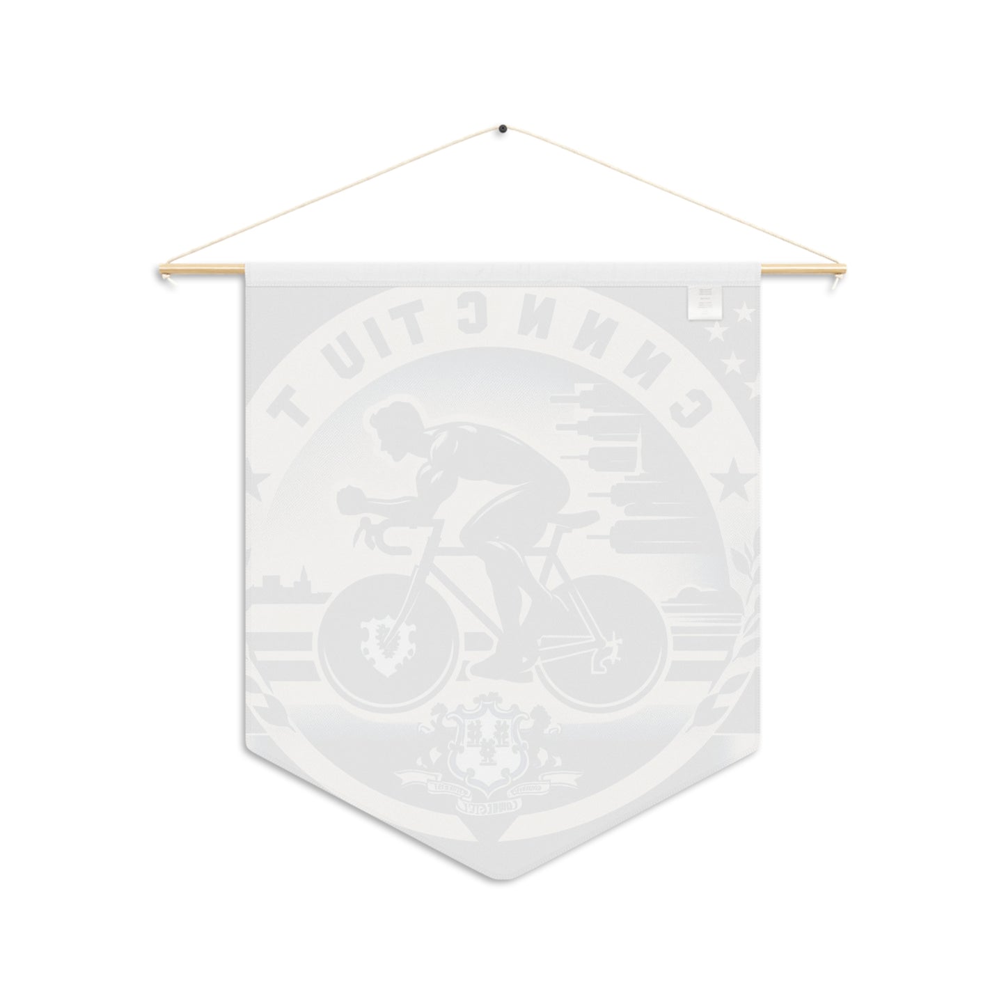 Flag Village Connecticut State Flag Pennant Sporting Home Wall decoration CT0002