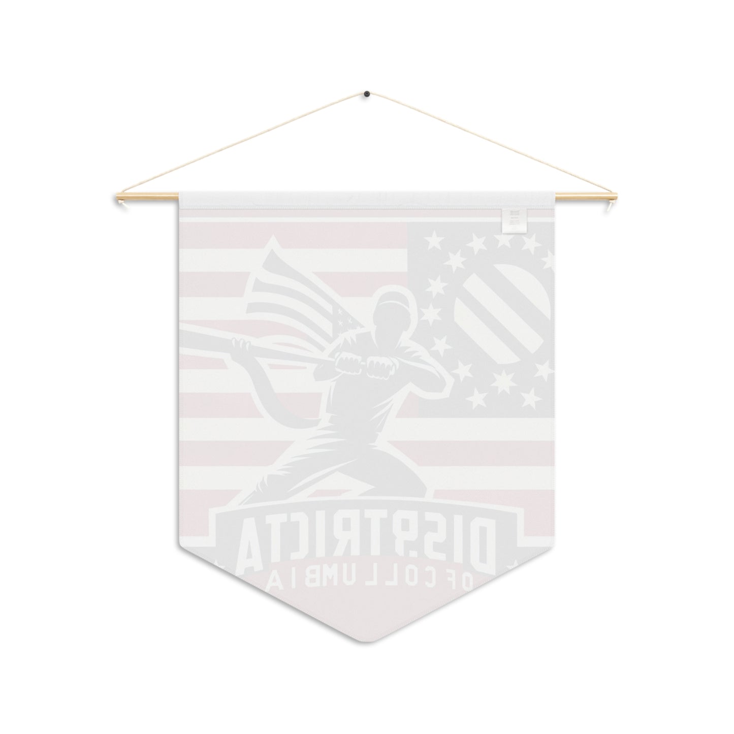 Flag Village Washington DC State Flag Pennant Sporting Home Wall decoration DC0002