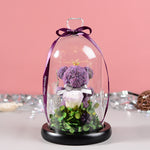 Flag Village Florist Gift Box Flowers Eternal Flower Glass Cover Bear Rose