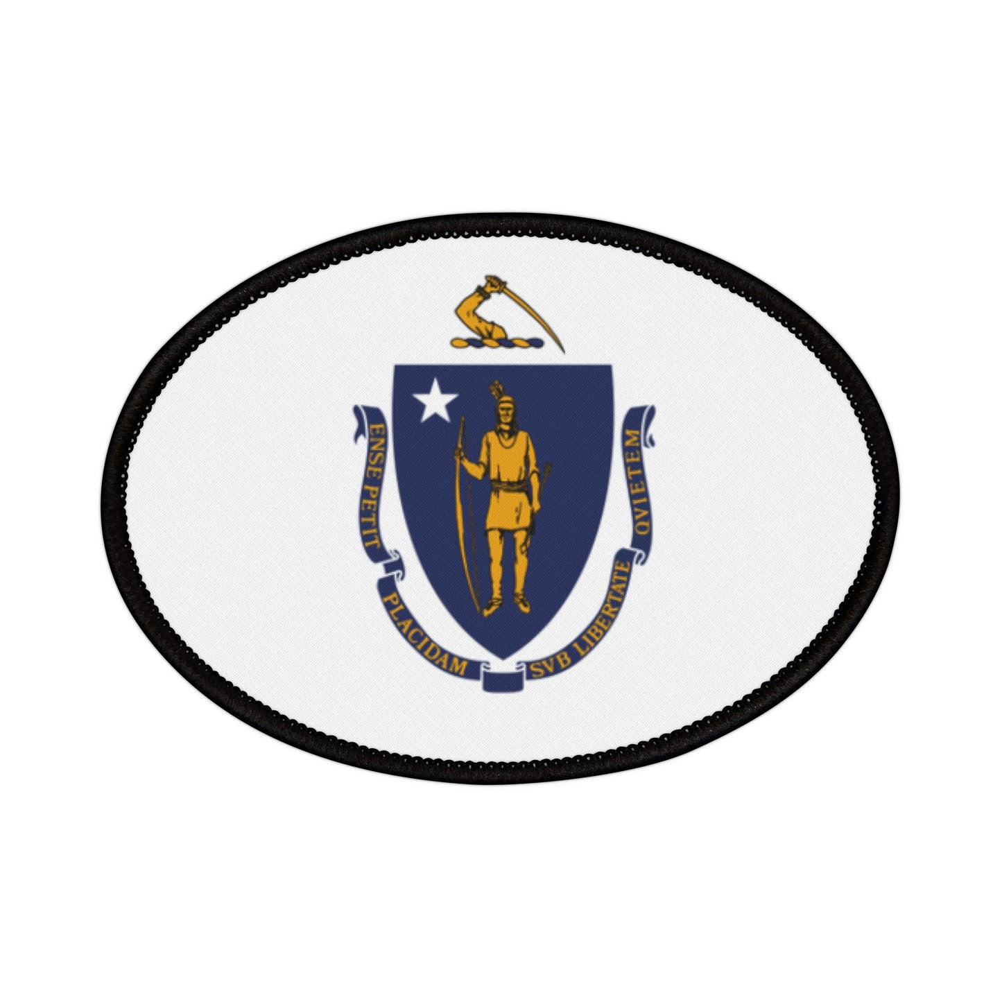 Flag Village Massachusetts State Flag Embroidery Iron-On Patches