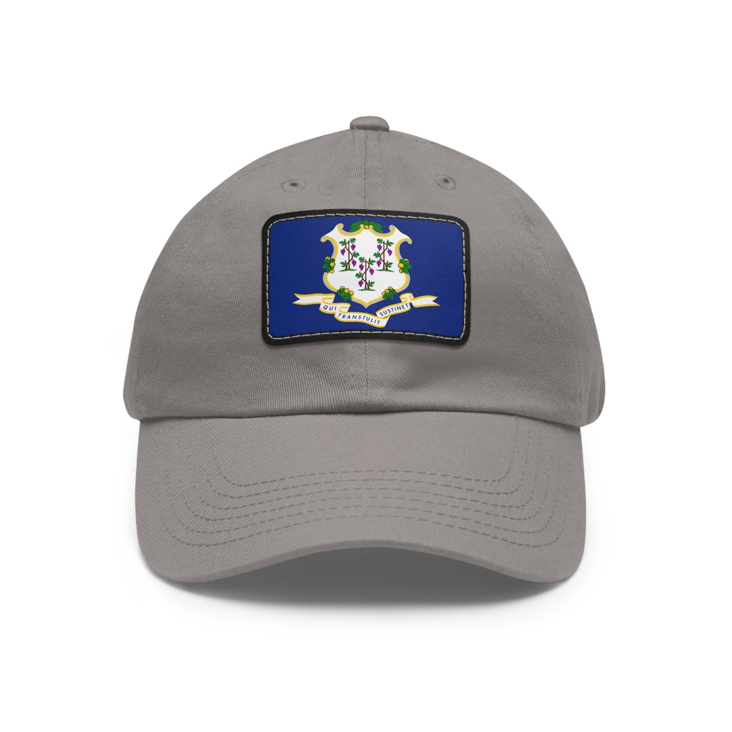 Flag Village USA Connecticut State Flag Hat Cap with Leather Patch