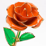 Flag Village 24K Gold-plated Rose Flower With A Gift Box Valentine's Day Gift