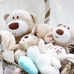 Flag Village Newborn Baby Color Cotton Toy Set Gift Box
