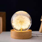 Flag Village Luminous 3D Dandelion Crystal Ball Beech Wood Stand Base Preserved Flower Sphere Ball Desktop Ornaments Bithday Christmas Gifts