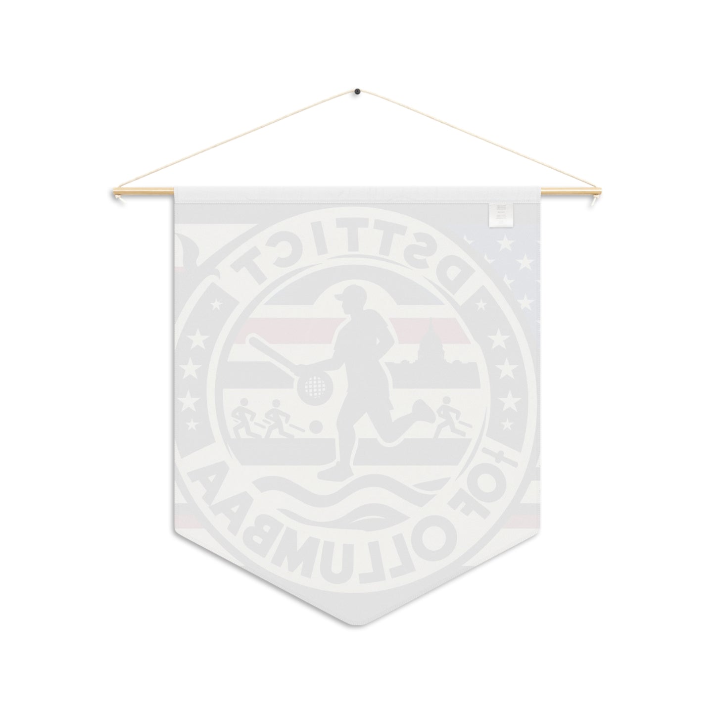 Flag Village Washington DC State Flag Pennant Sporting Home Wall decoration DC0001