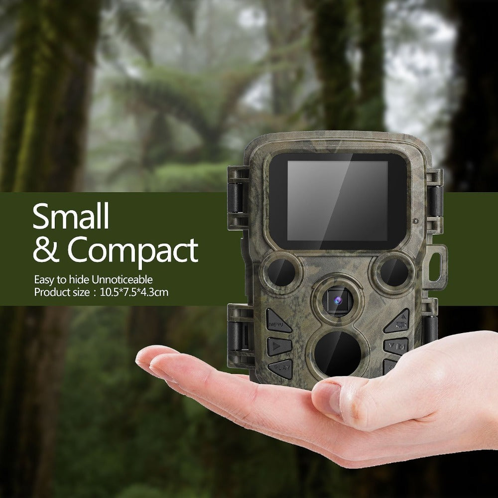 Flag Village Infrared surveillance camera