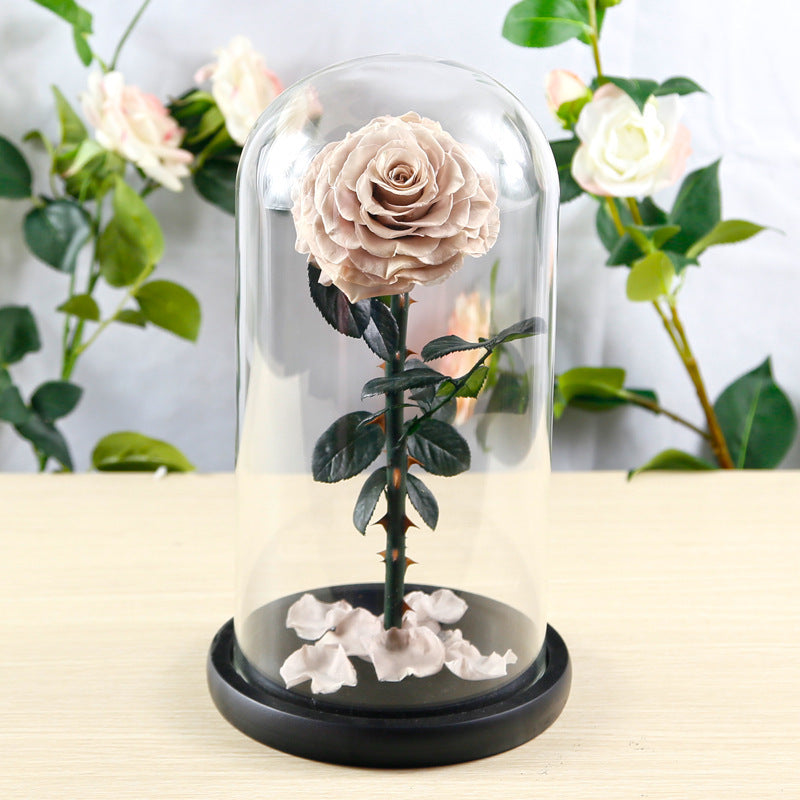 Flag Village Preserved Flower Rose Finished Glass Cover Gift Box