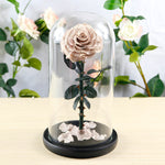 Flag Village Preserved Flower Rose Finished Glass Cover Gift Box