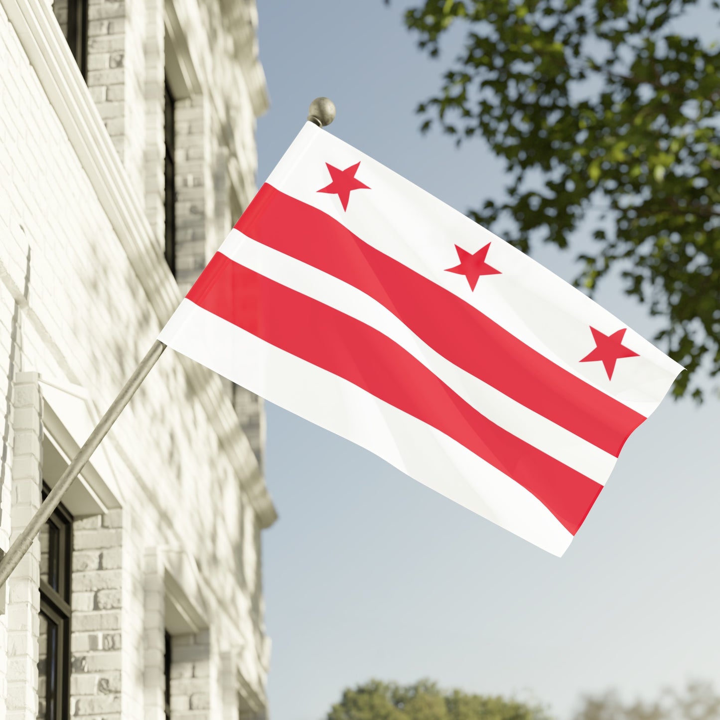 Flag Village USA District of Columbia State Flag 18" x 12" / 36" x 24" / 60" x 36"