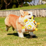 Flag Village Pet Interactive Football Dog Outdoor Toy Molar Long Lasting