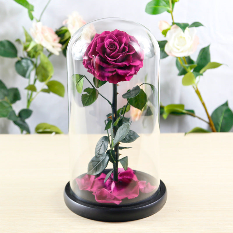 Flag Village Preserved Flower Rose Finished Glass Cover Gift Box