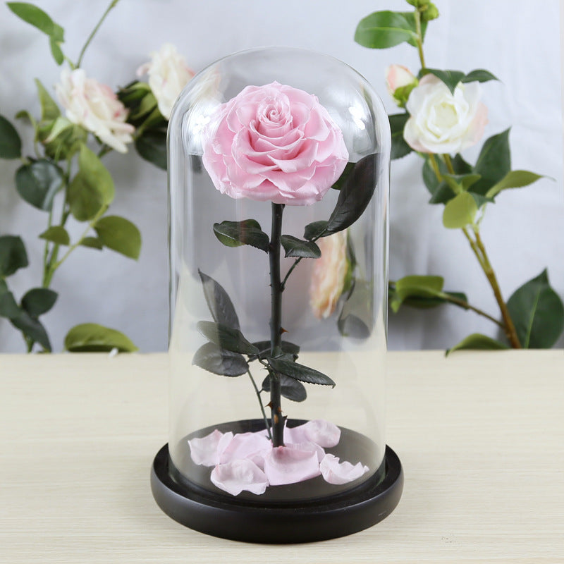 Flag Village Preserved Flower Rose Finished Glass Cover Gift Box