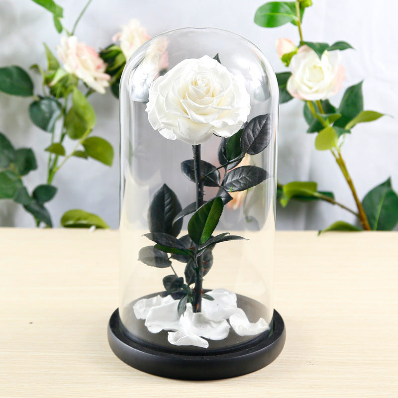 Flag Village Preserved Flower Rose Finished Glass Cover Gift Box