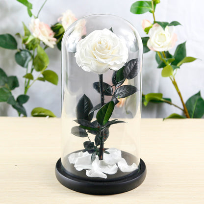 Flag Village Preserved Flower Rose Finished Glass Cover Gift Box
